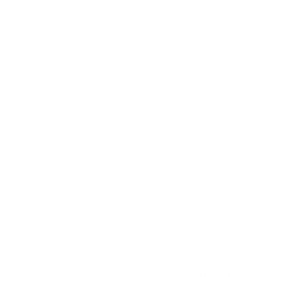 SKINPECTATIONS by Inam
